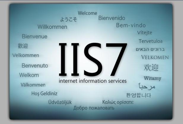 IIS服务器常见错误解析及排错指南、错误代码大全